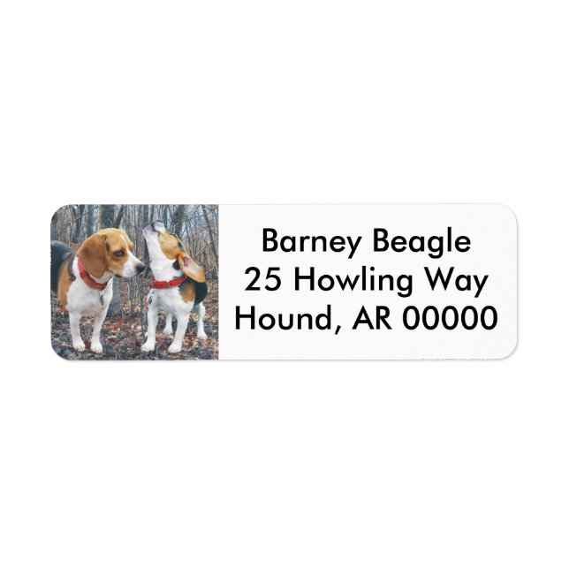 Beagles In The Woods (Front)