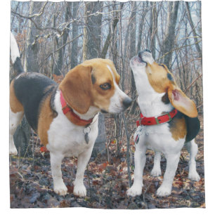 Beagles in the Woods Shower Curtain