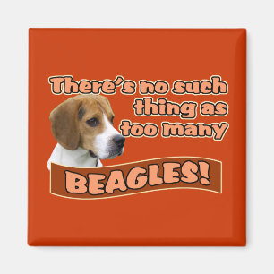 BEAGLES MAGNET