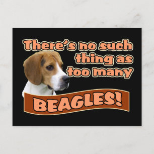 BEAGLES POSTCARD