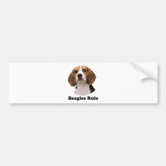 Beagles Rule Bumper Sticker (Front)