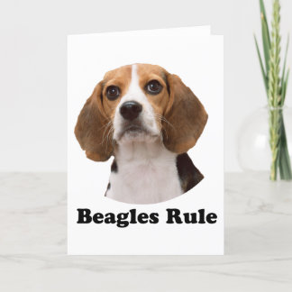 Beagles Rule Card