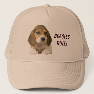 Beagles Rule Hat