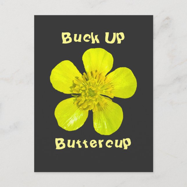 Beaming Buttercup Flower - Buck Up Buttercup. Postcard (Front)