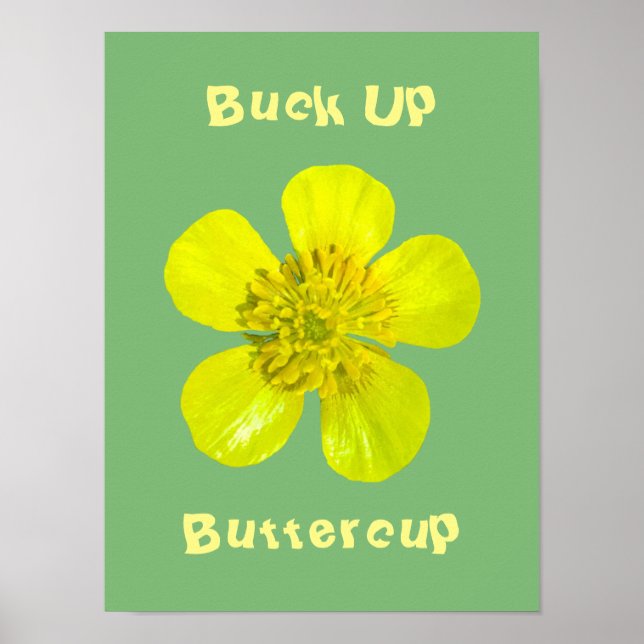 Beaming Buttercup Flower - Buck Up Buttercup. Poster (Front)