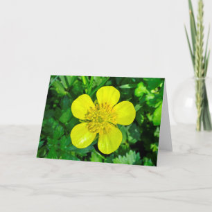 Beaming Buttercup Flower. Card