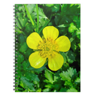 Beaming Buttercup Flower. Notebook