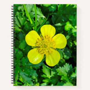 Beaming Buttercup Flower. Notebook