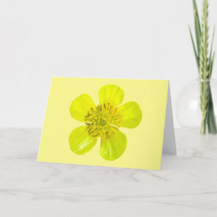 Beaming Buttercup Flower - transparent. Card