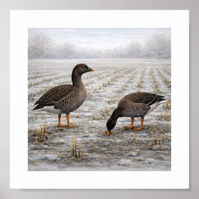 Bean Geese in a Winter Field – Japanese Wild Bird Poster (Front)