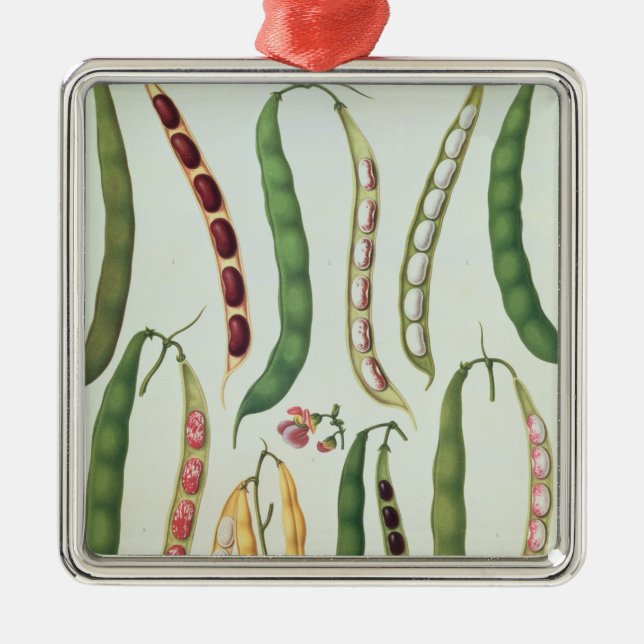 Beans Metal Tree Decoration (Front)