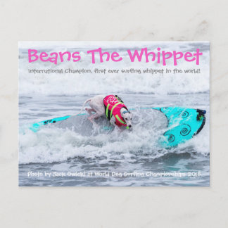 Beans Surfdog Postcard
