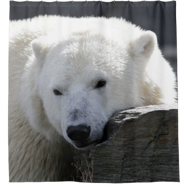 Bear 002 shower curtain (Front)