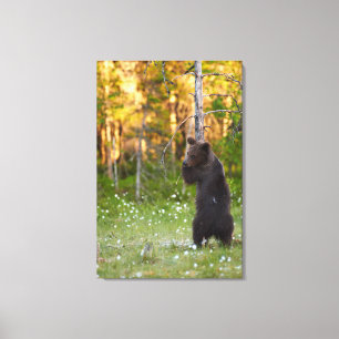 Bear and a tree canvas print