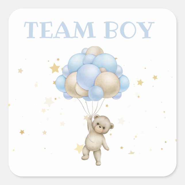Bear and Bunny Gender Reveal Team Boy Square Sticker (Front)