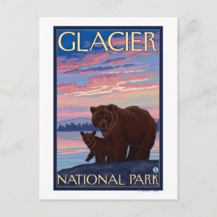 Bear and Cub - Glacier National Park, MT Postcard