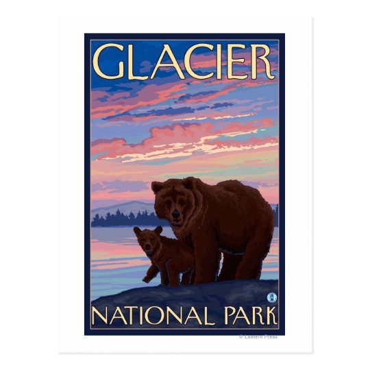 Bear and Cub - Glacier National Park, MT Postcard