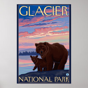 Bear and Cub - Glacier National Park, MT Poster