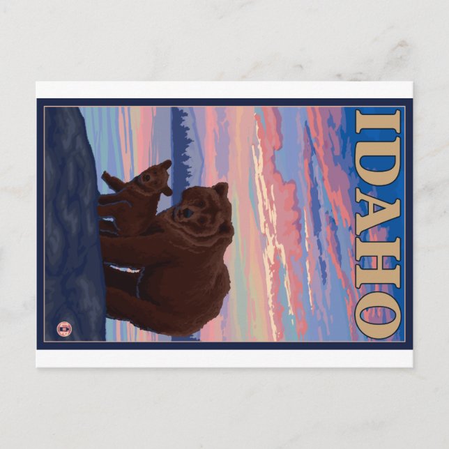 Bear and Cub - Idaho Postcard (Front)