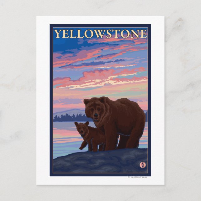 Bear and Cub - Yellowstone National Park Postcard (Front)