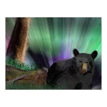 bear aurora