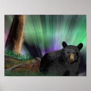 bear aurora poster