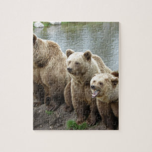 Bear bears animal custom personalise Anniversaries Jigsaw Puzzle