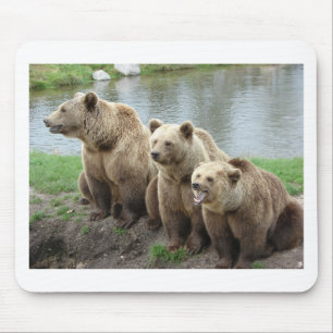 Bear bears animal custom personalise Anniversaries Mouse Mat