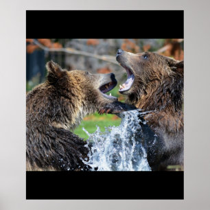 Bear Bears Animals Water Splash Wildlife Nature Poster