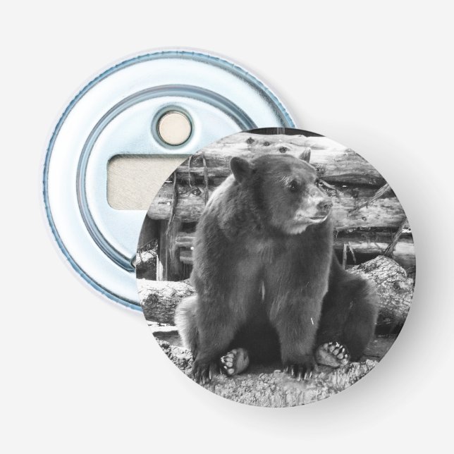 Bear Bottle Opener (Front)