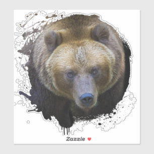 Bear Brown Grizzly Animal Life Wild Jungle Forest
