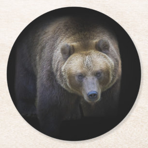 Bear Brown Grizzly Animal Life Wild Jungle Forest Round Paper Coaster