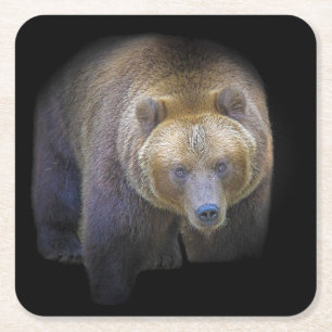 Bear Brown Grizzly Animal Life Wild Jungle Forest Square Paper Coaster