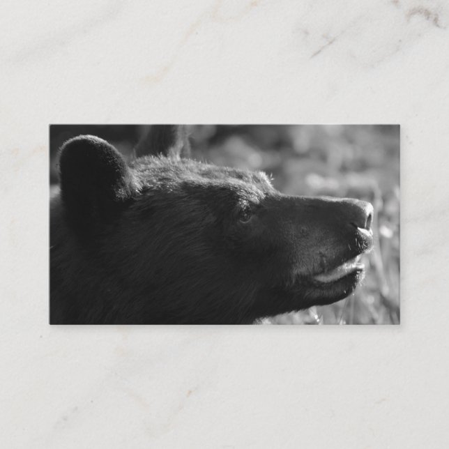 Bear Business Card   ( add your own text) (Front)