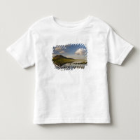 Bear Butte reflects into Bear Butte Lake near