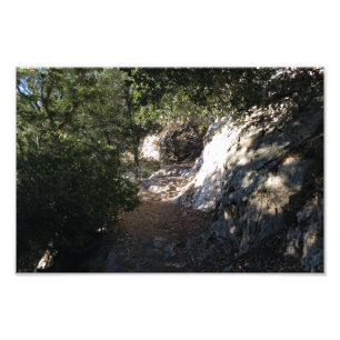 Bear Canyon Campground Photo Print