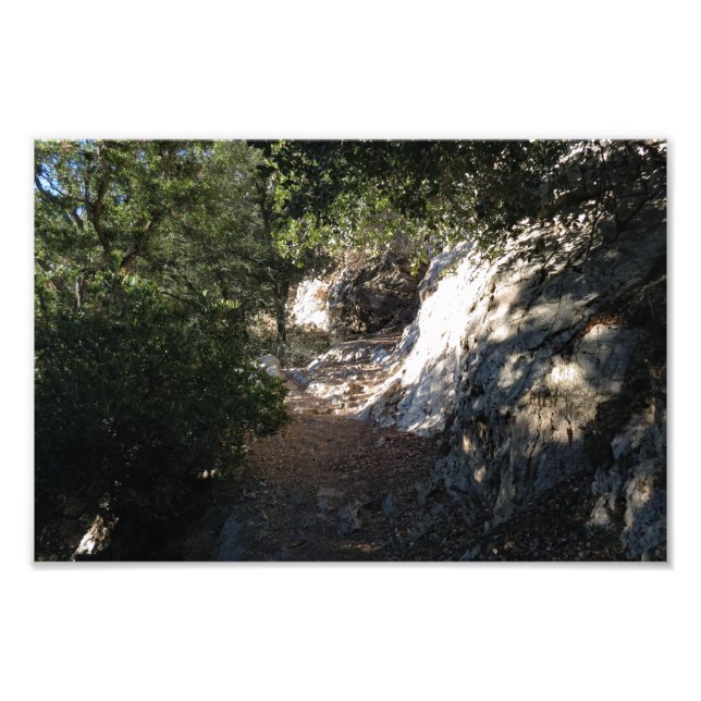 Bear Canyon Campground  Photo Print (Front)