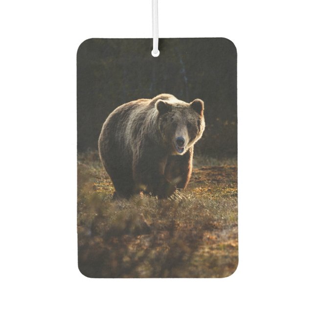 Bear Car Air Freshener (Front)