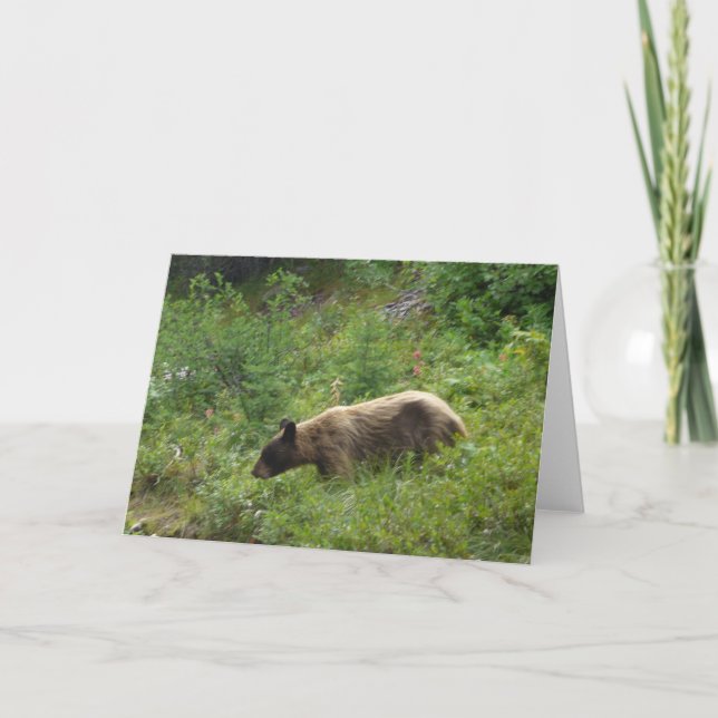 Bear Card (Front)