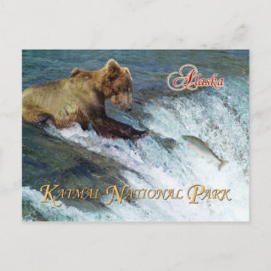 Bear catching salmon, Katmai National Park, AK Postcard