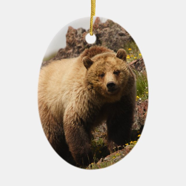 bear ceramic tree decoration (Front)