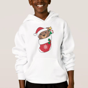 Bear Christmas Snow Winter Animals Bears