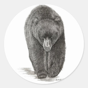 Bear Classic Round Sticker
