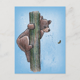Bear Climbing Tree Postcard