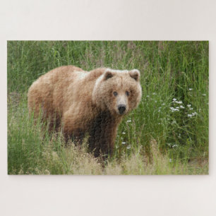 Bear closeup, Brooks Falls Alaska Jigsaw Puzzle