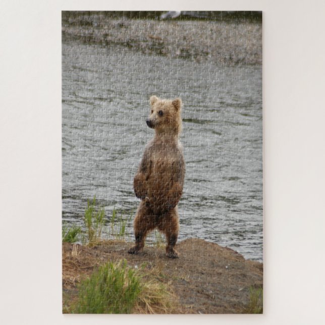 Bear closeup, Brooks Falls Alaska  Jigsaw Puzzle (Vertical)