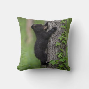Bear Cub Climbing a Tree Cushion