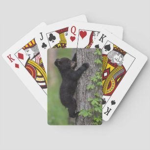 Bear Cub Climbing a Tree Playing Cards