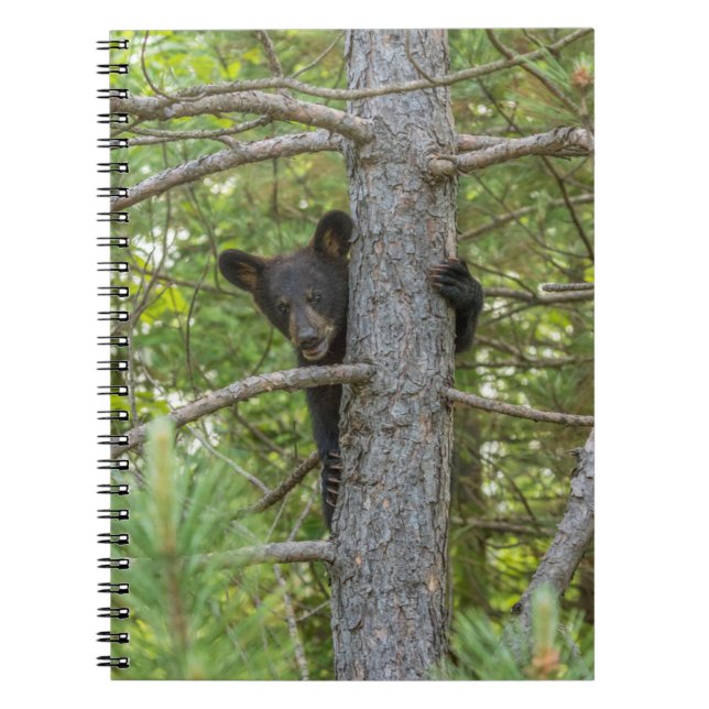 Bear Cub Climbing Tree Notebook (Front)