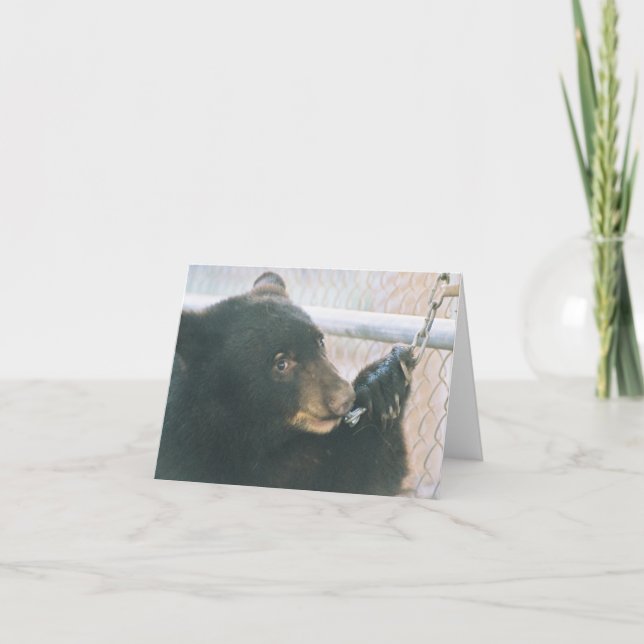 Bear Cub Note Card - Chain (Front)